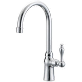 Wistan Single Handle Cold Water Pantry Faucet - Chrome