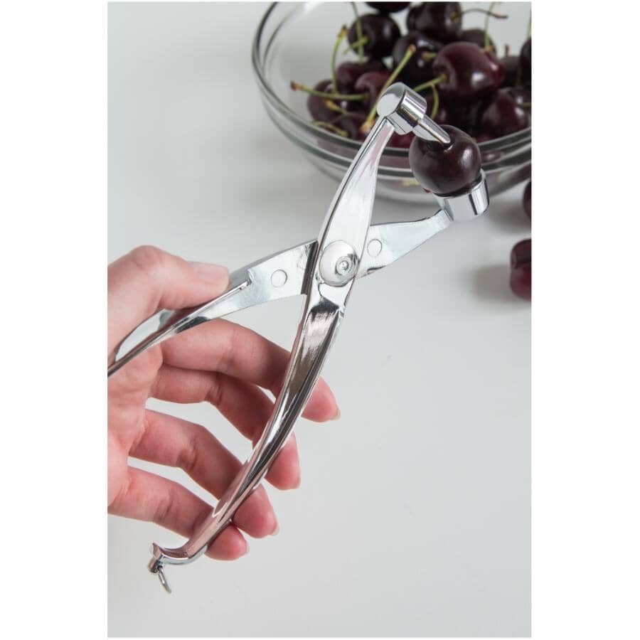 Stainless Steel Cherry & Olive Pitter