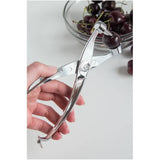 Stainless Steel Cherry & Olive Pitter