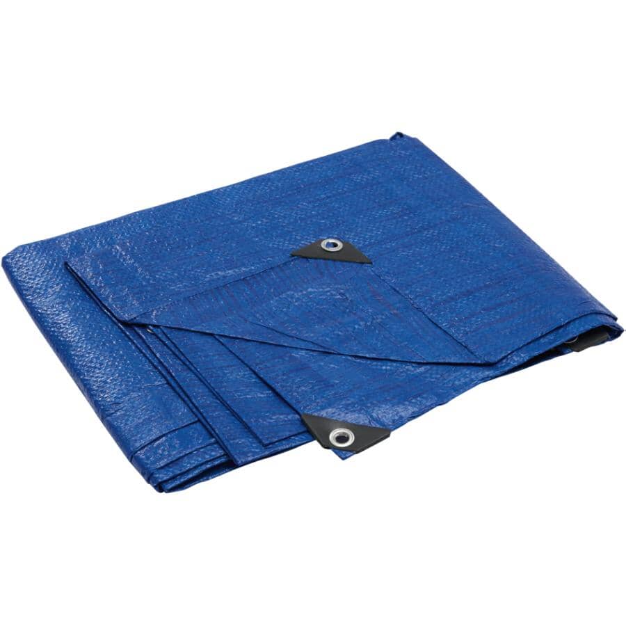 10' x 12' Light Duty Blue Poly Tarp