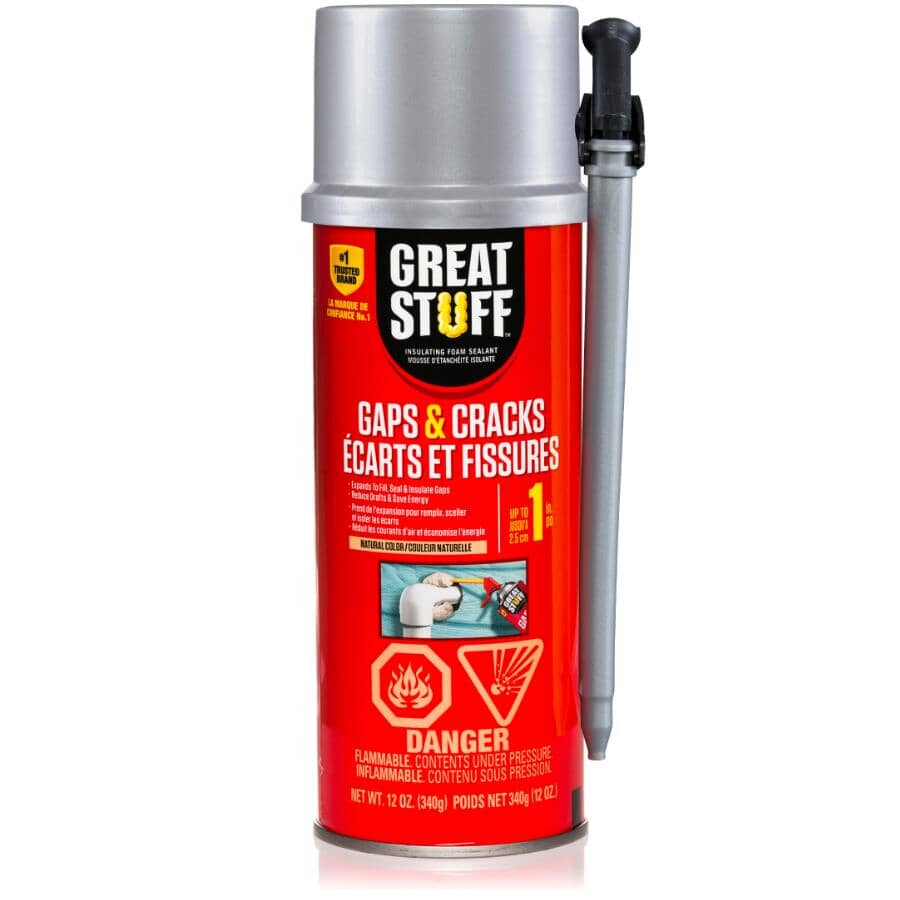 Gaps & Cracks Insulating Foam Sealant - 340 g