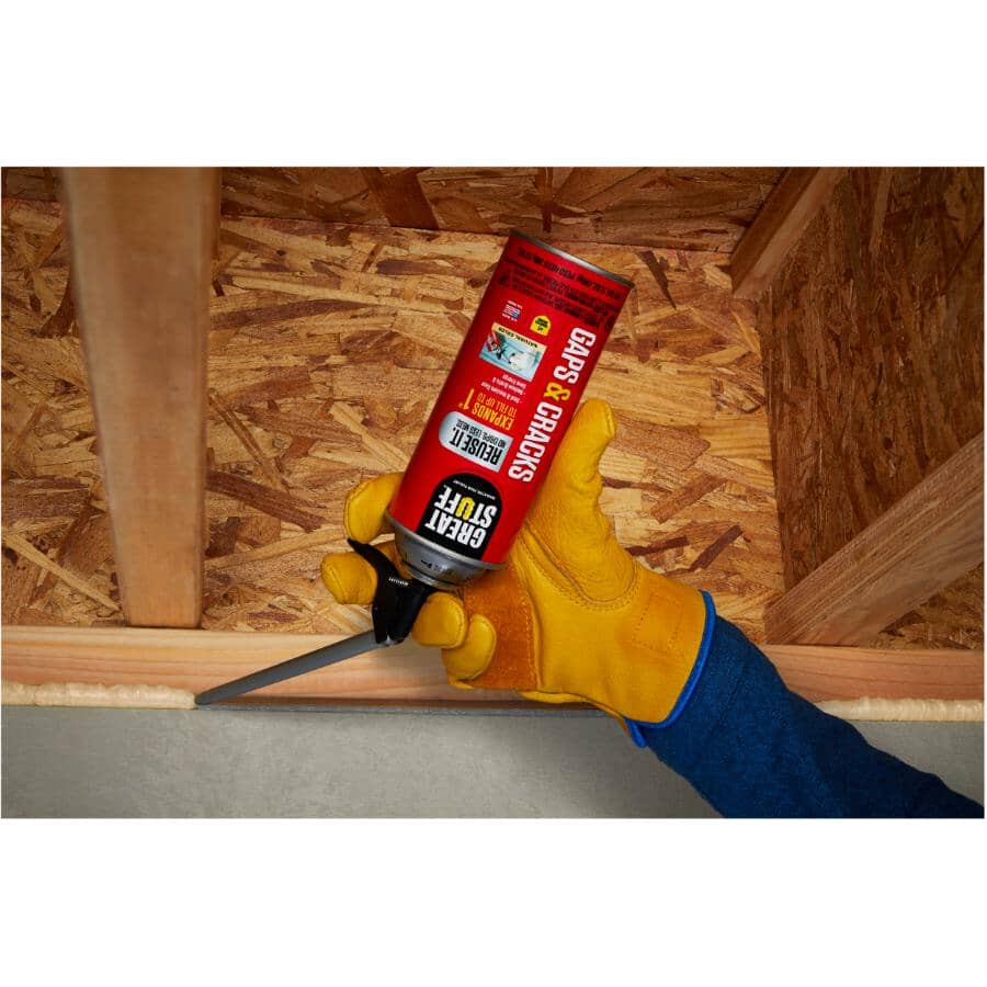 Gaps & Cracks Insulating Foam Sealant - 340 g