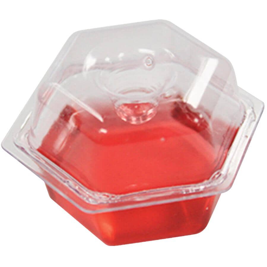 6 Pack Fruit Fly Traps