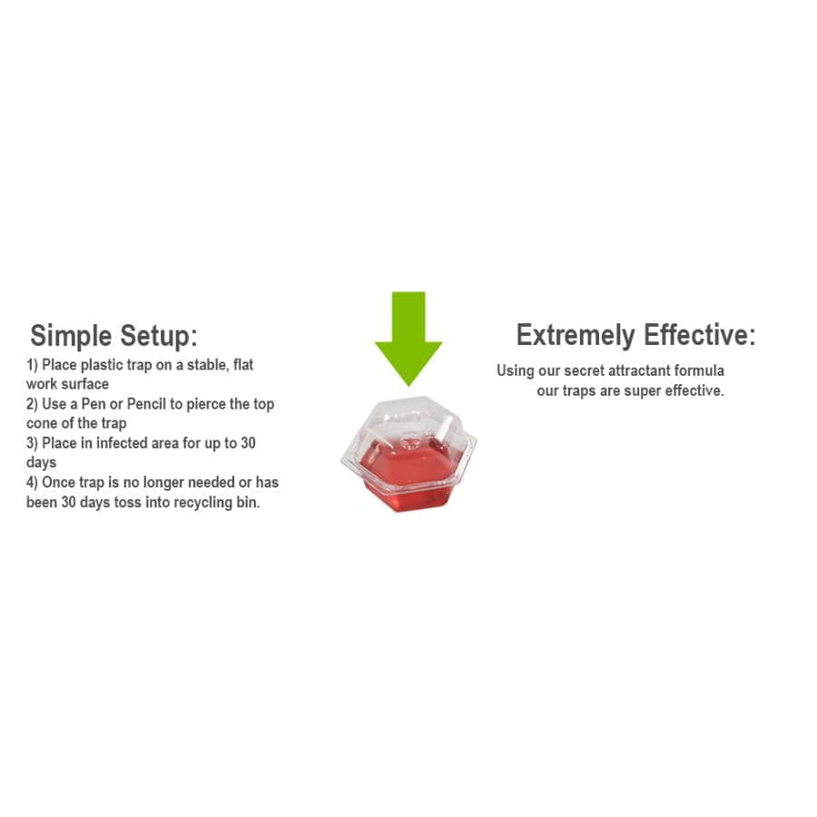 6 Pack Fruit Fly Traps
