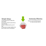 6 Pack Fruit Fly Traps