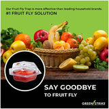 6 Pack Fruit Fly Traps