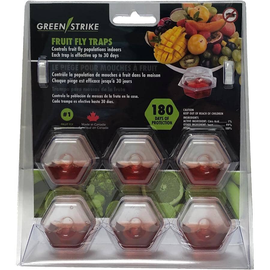 6 Pack Fruit Fly Traps