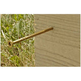 #9 x 3-1/8" Climatek Star Drive R4 Structural Wood Screws - 425 Pack