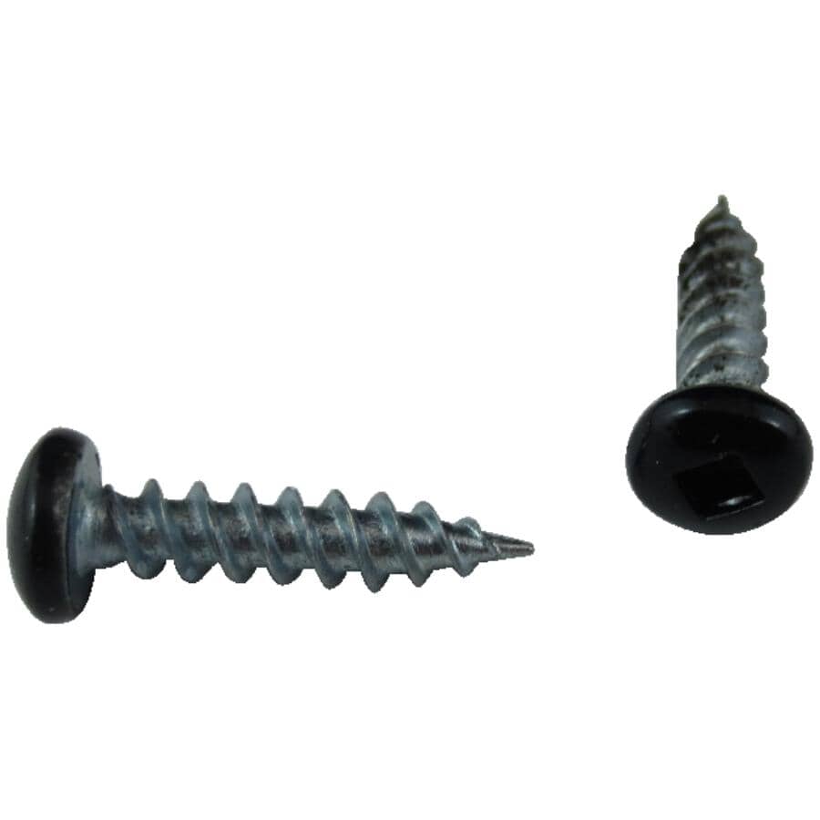 100 Pack #8 x 1/2" Black Pan Head Soffit Screws