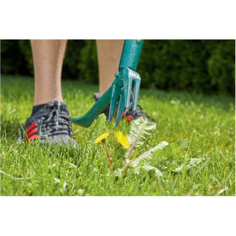 48" Long Handle Garden Weeder