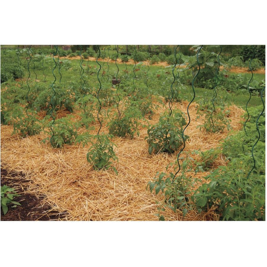 78" Spiral Plant Support