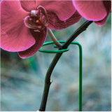 Steel Plant Support - 36"