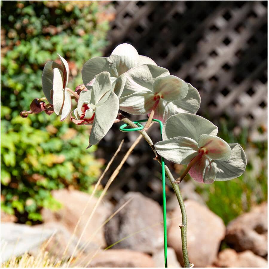 Steel Plant Support - 36"