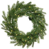 32" Indoor / Outdoor Grandis Wreath - 80 Warm White Micro LED Lights
