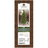 9' Killington Fir Christmas Tree - with 540 Warm White/Multi-Colour LEDs