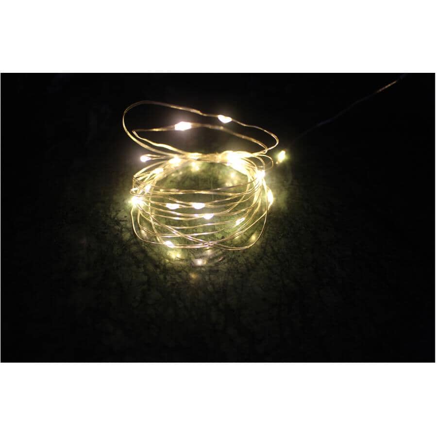 Battery Operated Fairy Lights - Warm White, 7.8', 25 LEDs