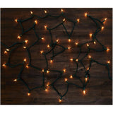 Incandescent Mini Light Set with Green Wire - Clear, 50 Lights
