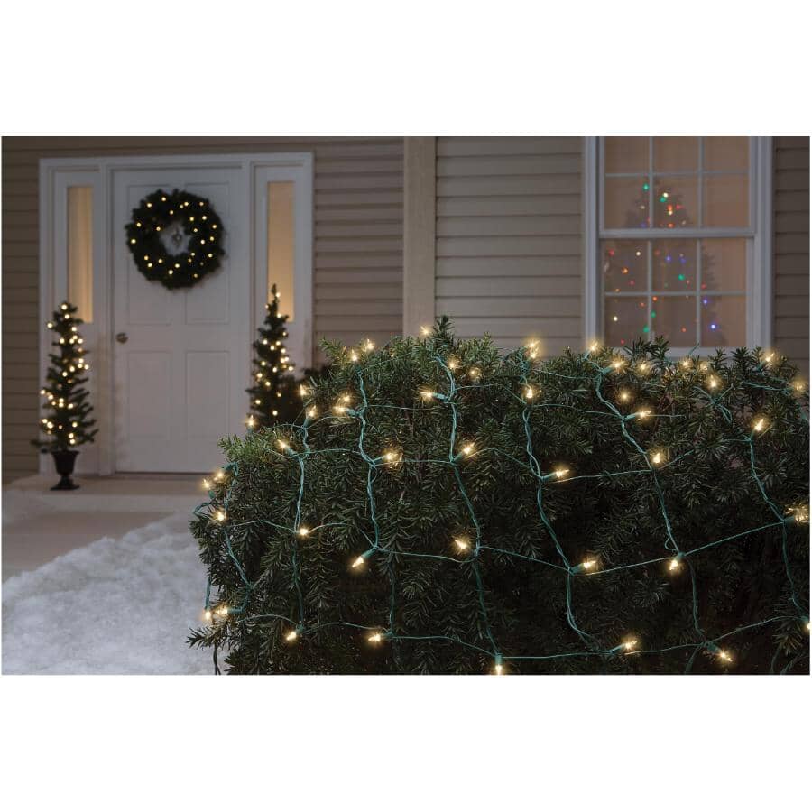 Incandescent Net Light Set - Clear, 150 Lights