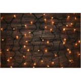 Incandescent Net Light Set - Clear, 150 Lights