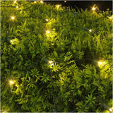 Twinkling Net 5 mm Light Set - Warm White, 70 LEDs