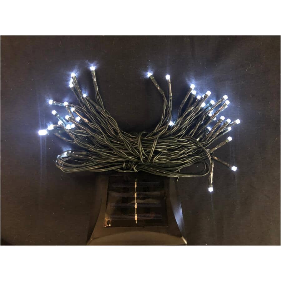 M5 Solar Light Set with Green Wire - Pure White, 50 LEDs
