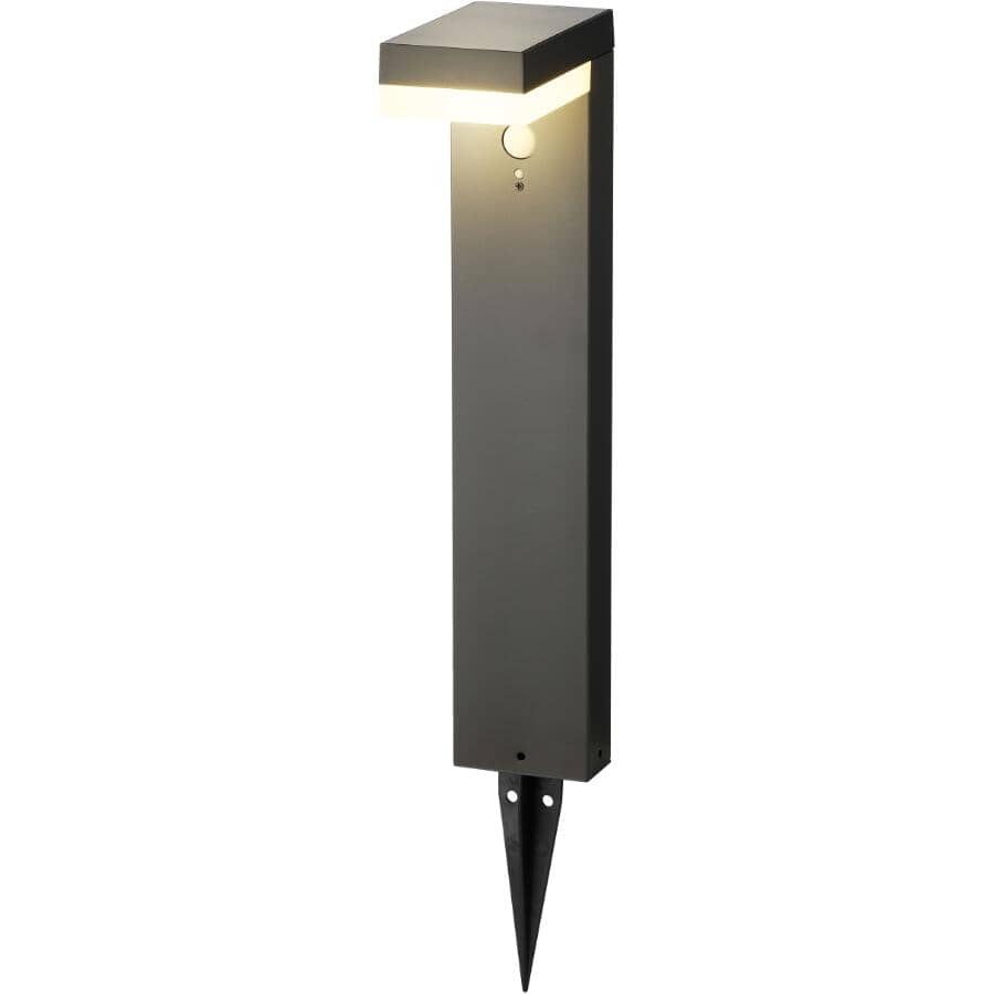 Solar Garden Stake Light - with Motion Sensor, Stainless Steel