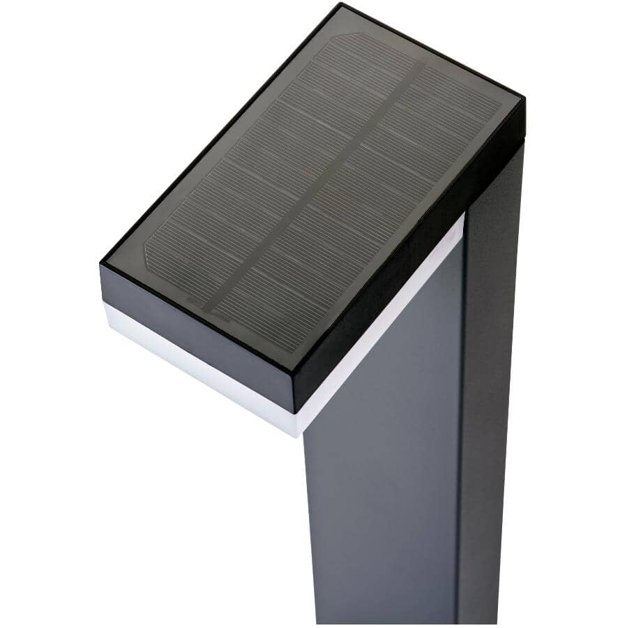 Solar Garden Stake Light - with Motion Sensor, Stainless Steel
