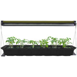 Hydroponic Grow Light for Seedlings & Cuttings