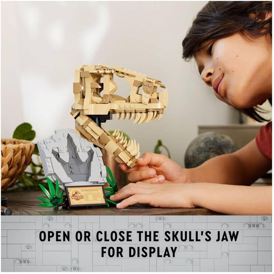 Dinosaur Fossils: T.Rex Skull Building Set - 577 Pieces