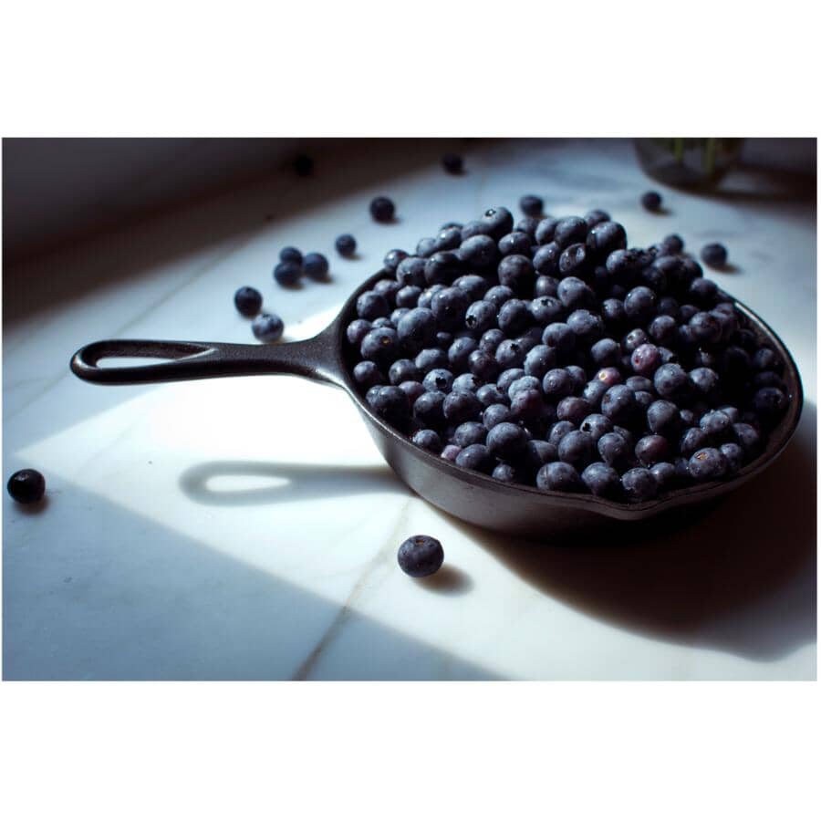 Cast Iron Skillet - 8"/20 cm