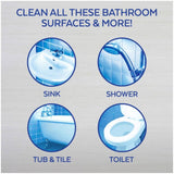 950mL Bleach Mold & Mildew Bathroom Cleaner