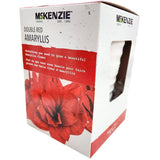 Double Red Amaryllis Kit - with Ceramic Pot