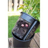 Potato Harvest Planter - 2 Piece