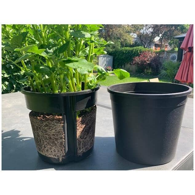 Potato Harvest Planter - 2 Piece