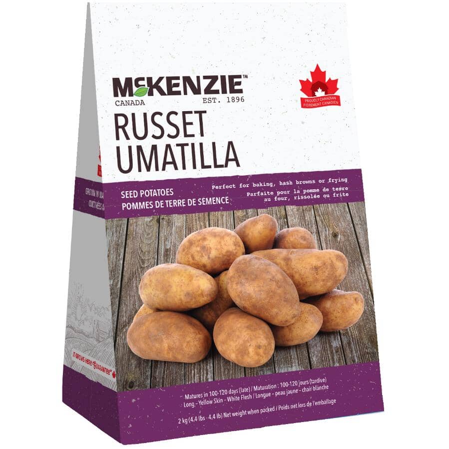 White Russet Umatilla Seed Potatoes
