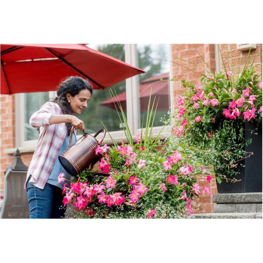 1.5kg 24-8-16 Water Soluble All Purpose Plant Fertilizer