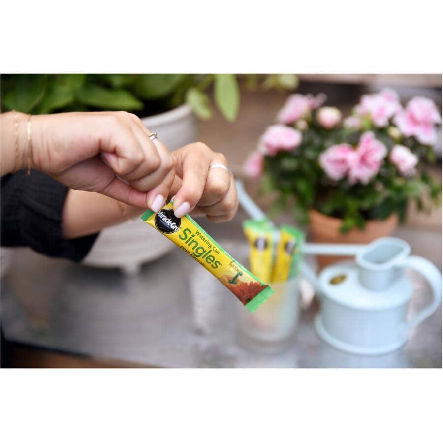 24-8-16 Water Soluble Singles Plant Food - 24 Pack