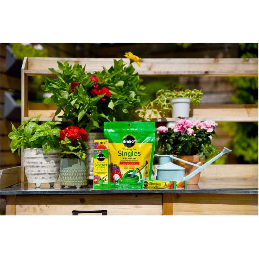 24-8-16 Water Soluble Singles Plant Food - 24 Pack