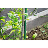 3' Steel Plant Stakes - 2 Pack