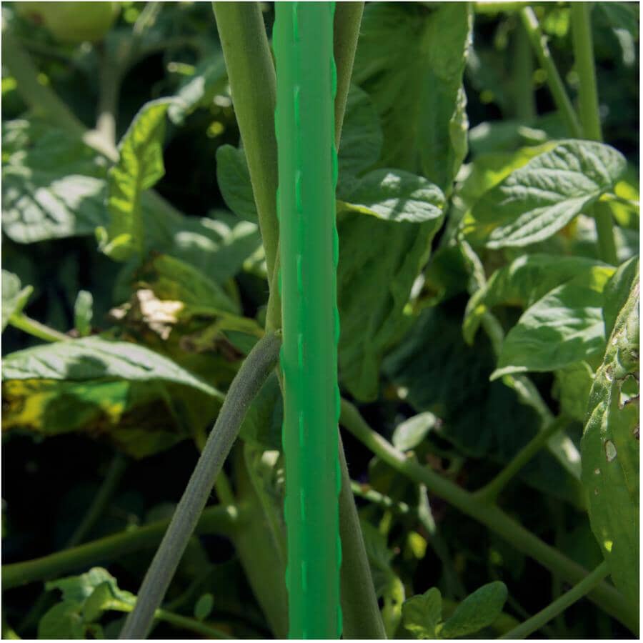 3' Steel Plant Stakes - 2 Pack