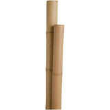 4' Bamboo Plant Stakes - 8mm - 10mm, 12 Pack