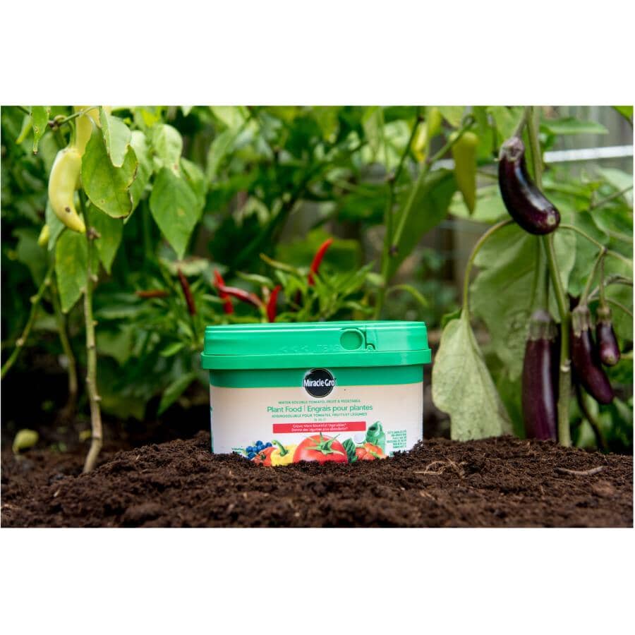 500g 18-18-21 Water Soluble Tomato Fruit and Vegetable Plant Fertilizer