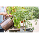 500g 18-18-21 Water Soluble Tomato Fruit and Vegetable Plant Fertilizer