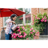 500g 24-8-16 Water Soluble All Purpose Plant Fertilizer