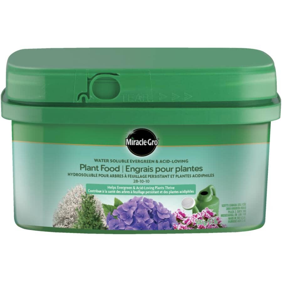 500g 28-10-10 Water Soluble Evergreen and Acid Loving Plant Fertilizer