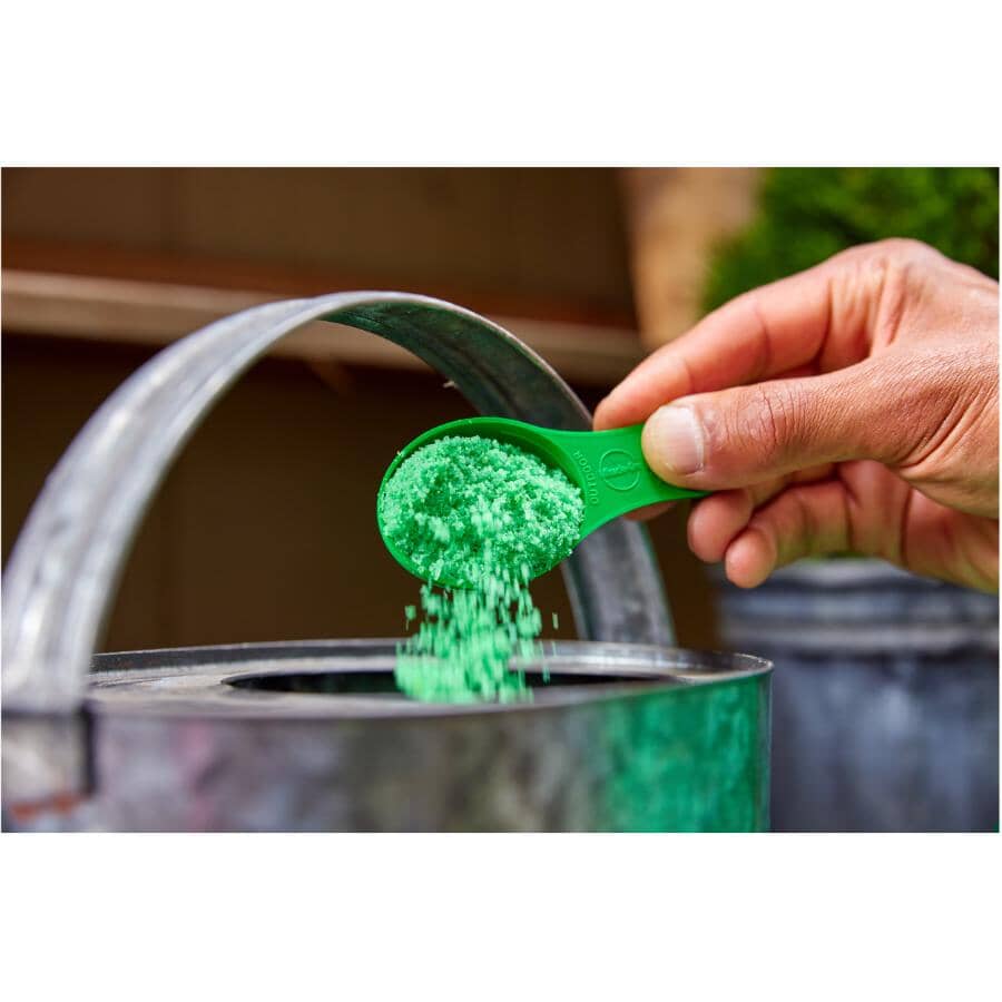 500g 28-10-10 Water Soluble Evergreen and Acid Loving Plant Fertilizer