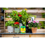 680g 20-20-20 Plant Food