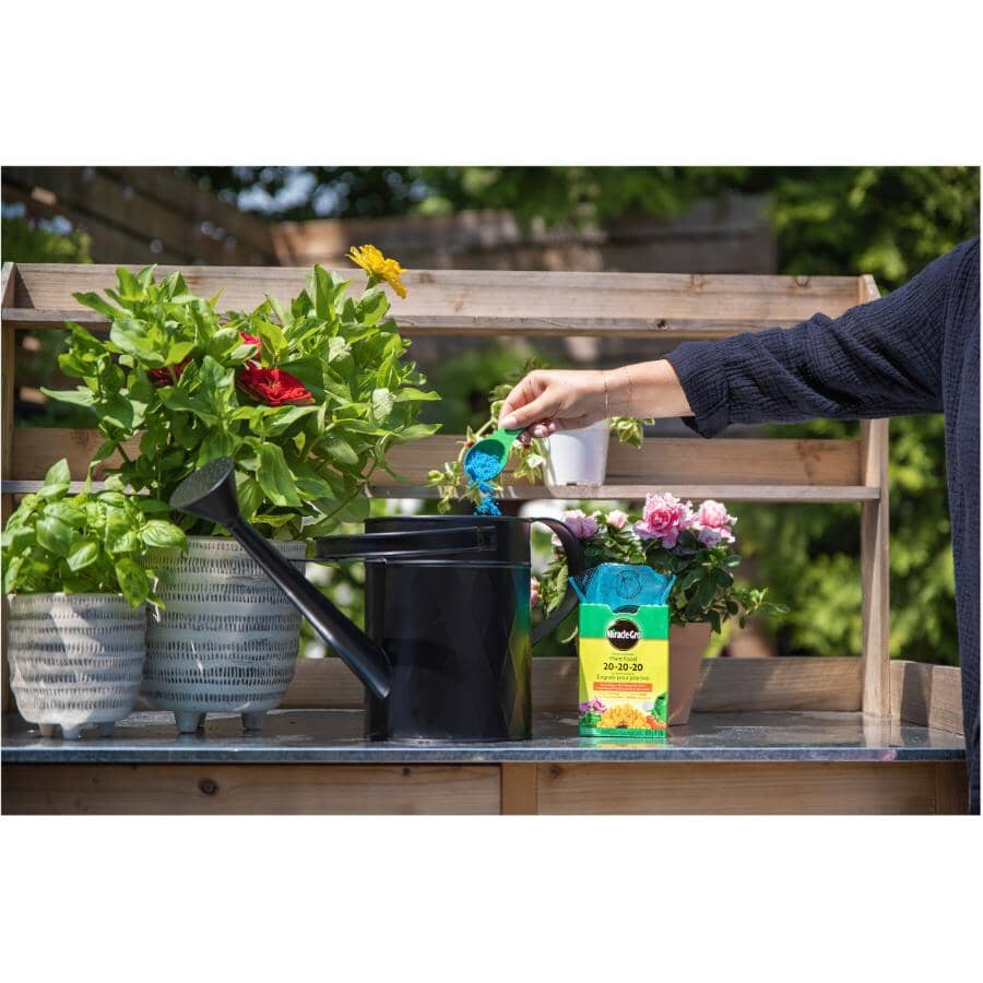 680g 20-20-20 Plant Food