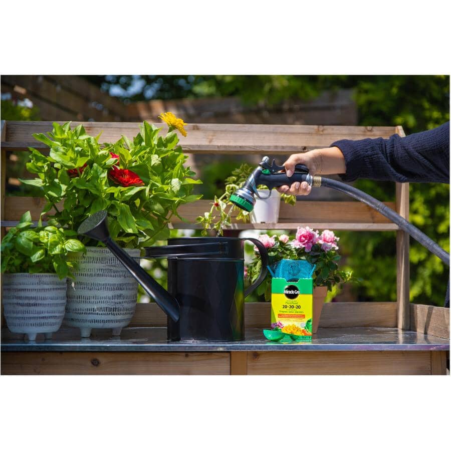 680g 20-20-20 Plant Food