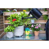 680g 20-20-20 Plant Food